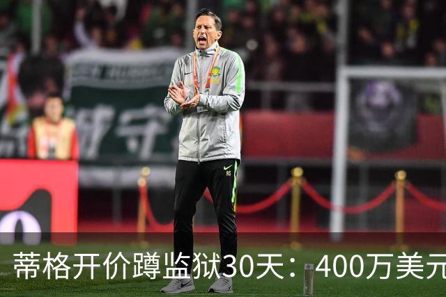 蒂格开价蹲监狱30天：400万美元，还得拿钱疏通狱友